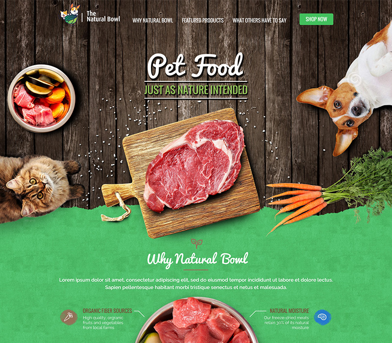 food_website_by_coverrr